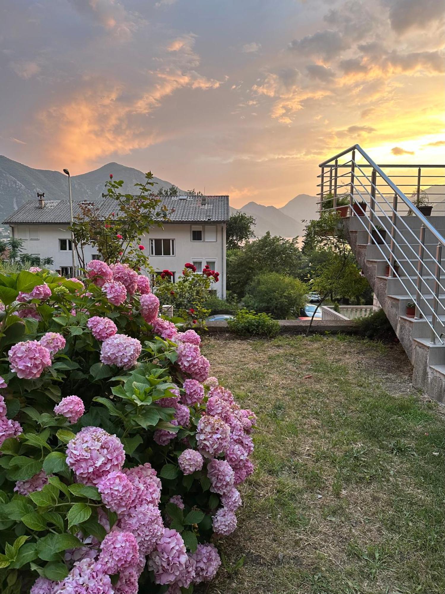 Sunny Apartment Kotor Exterior photo